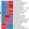 Figure 4—figure supplement 4.