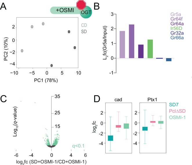 Figure 4—figure supplement 3.