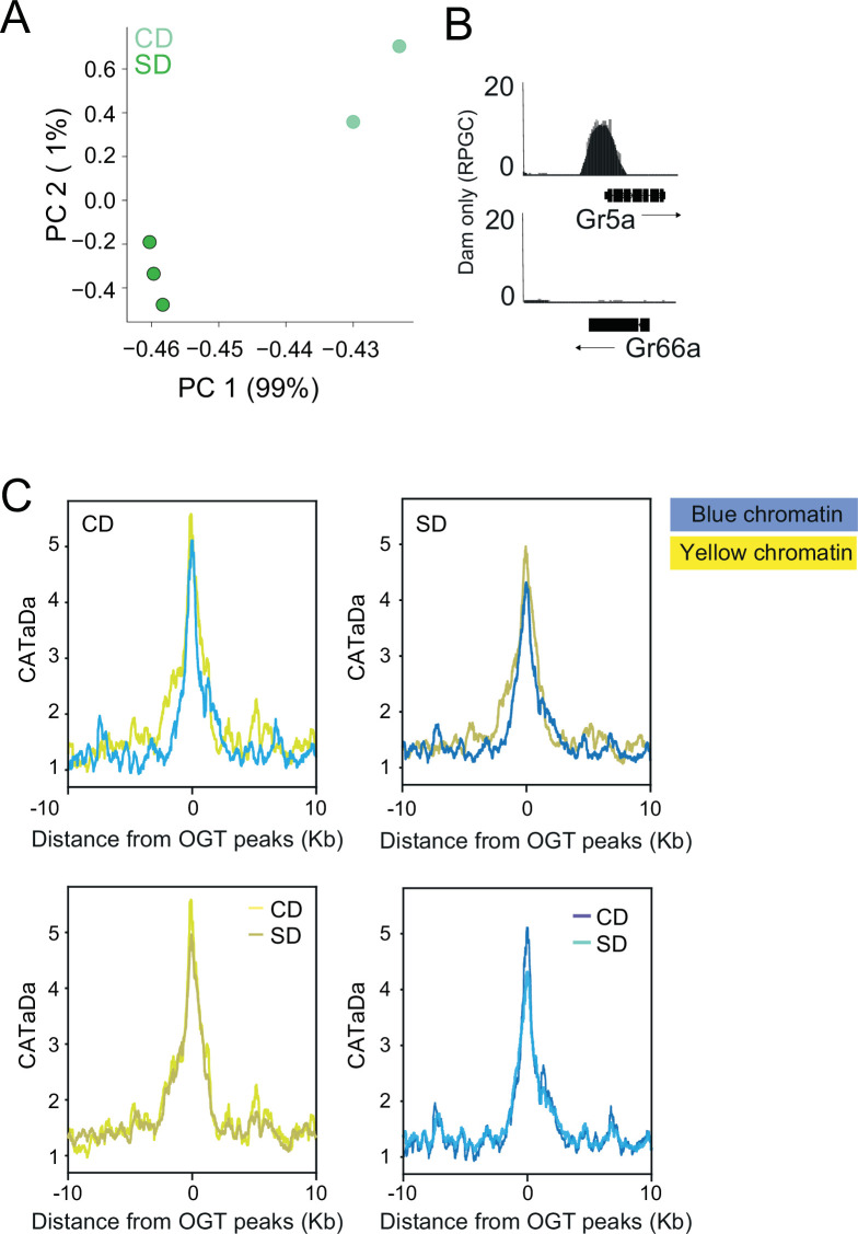 Figure 1—figure supplement 1.