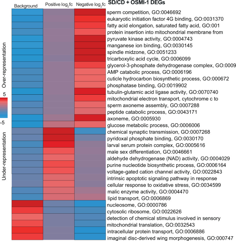 Figure 4—figure supplement 4.