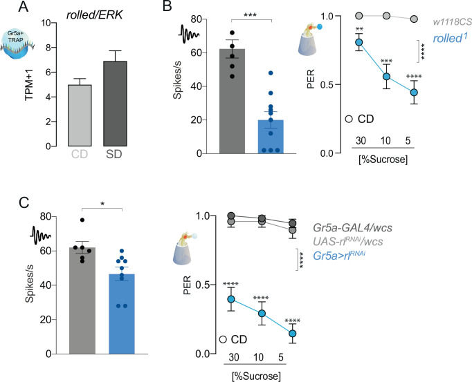 Figure 6—figure supplement 1.