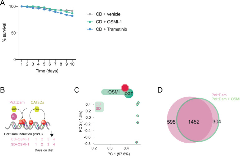 Figure 4—figure supplement 1.