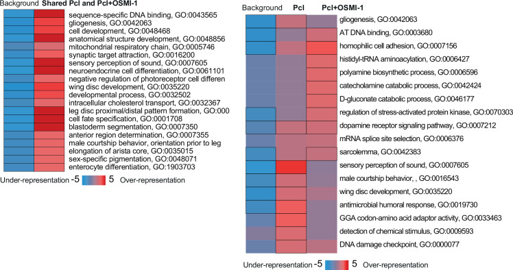 Figure 4—figure supplement 2.