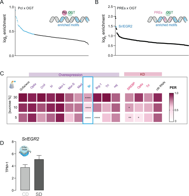 Figure 5—figure supplement 1.