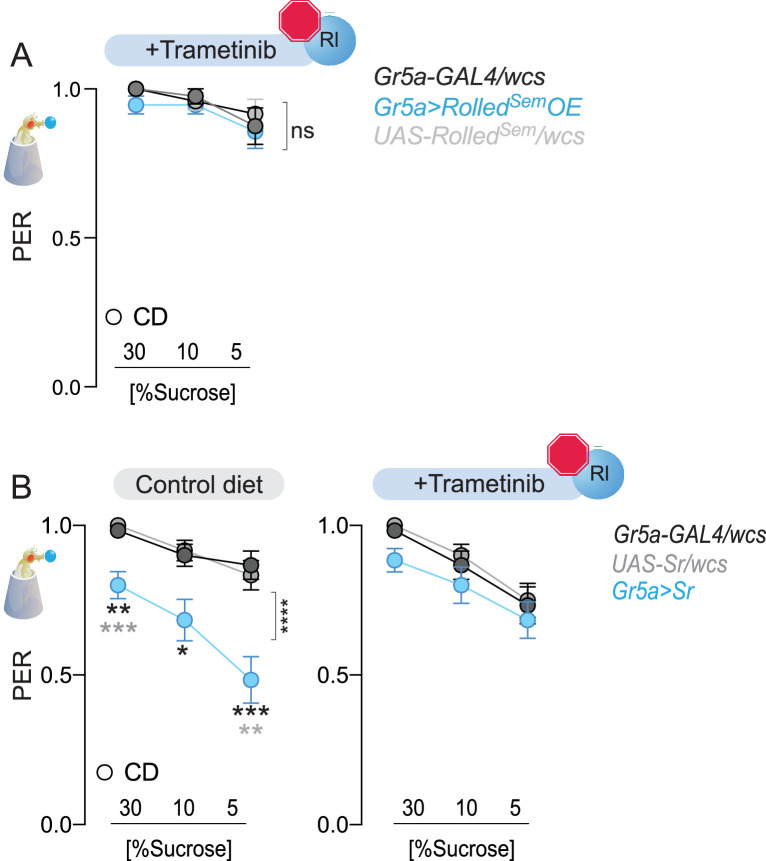 Figure 7—figure supplement 1.