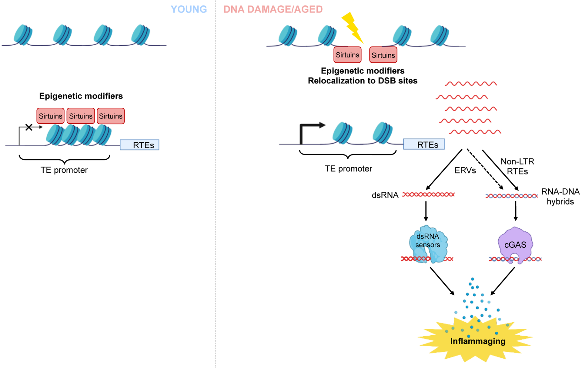 Figure 5: