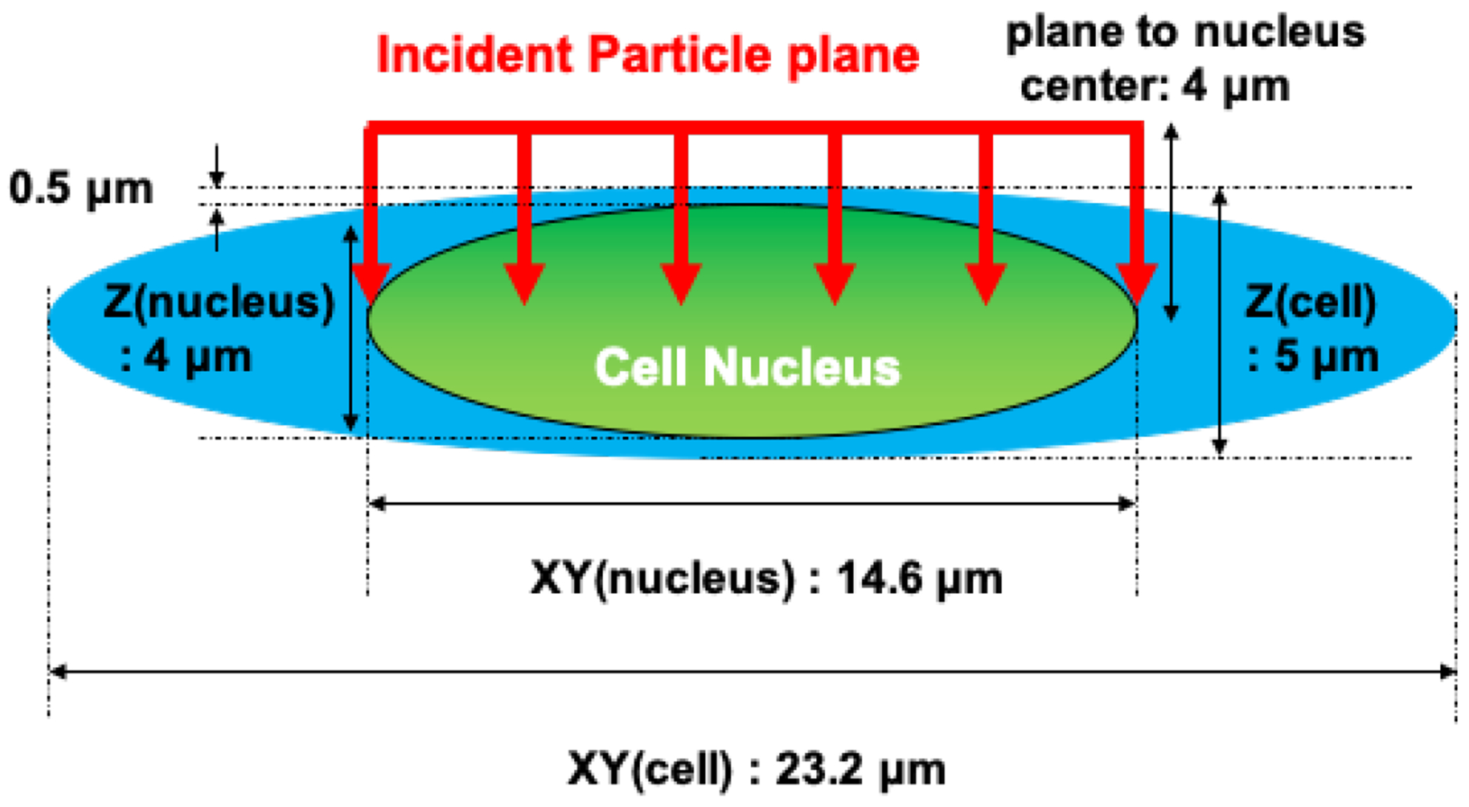 FIG. 1.