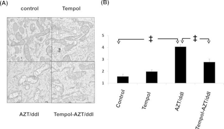 FIG. 2.