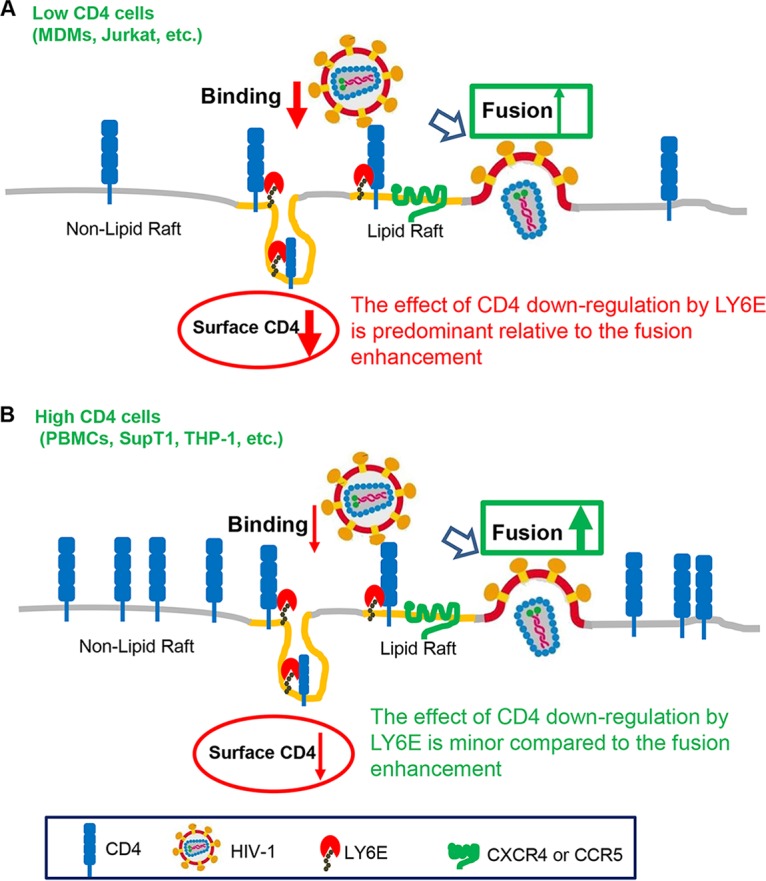 FIG 6