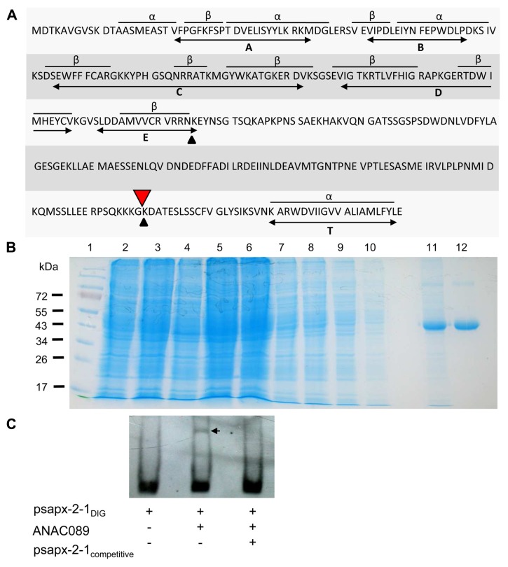 FIGURE 3