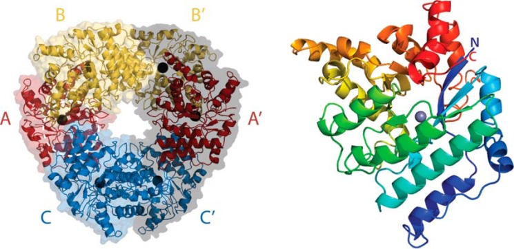 Figure 5.