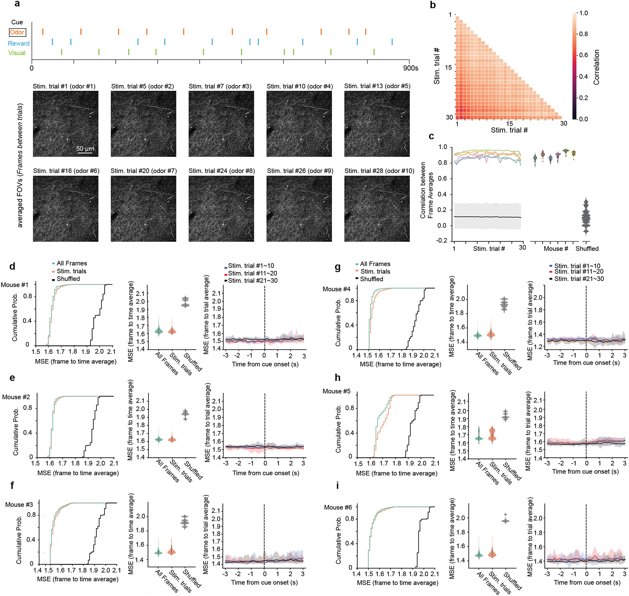 Extended Data Fig. 2 |