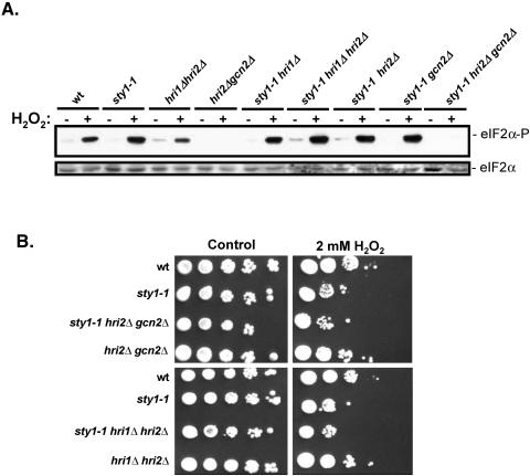 FIG. 5.