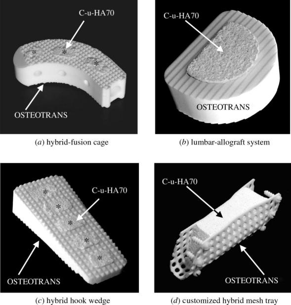 Figure 13