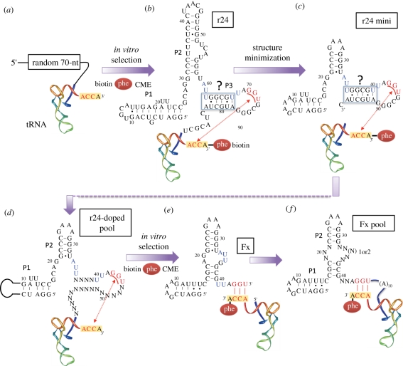 Figure 2.