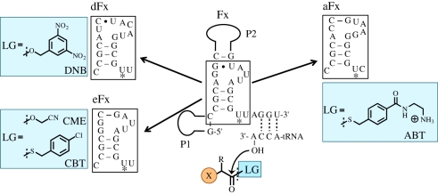 Figure 3.