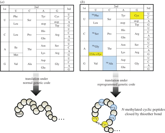 Figure 4.