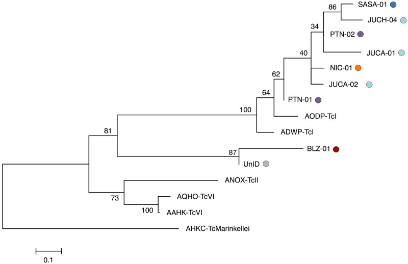 Fig 6