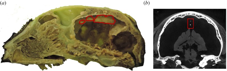 Figure 2.