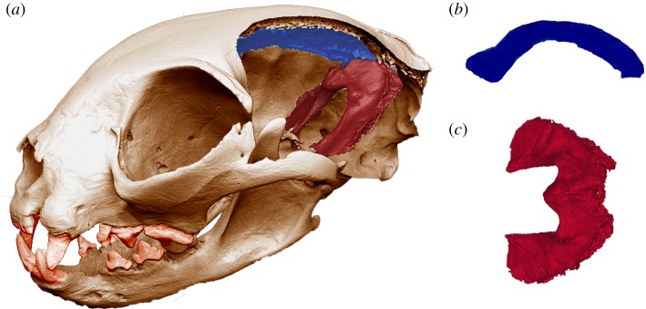 Figure 1.