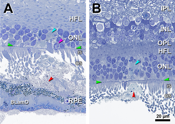 Figure 6.