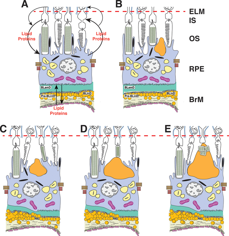 Figure 10.