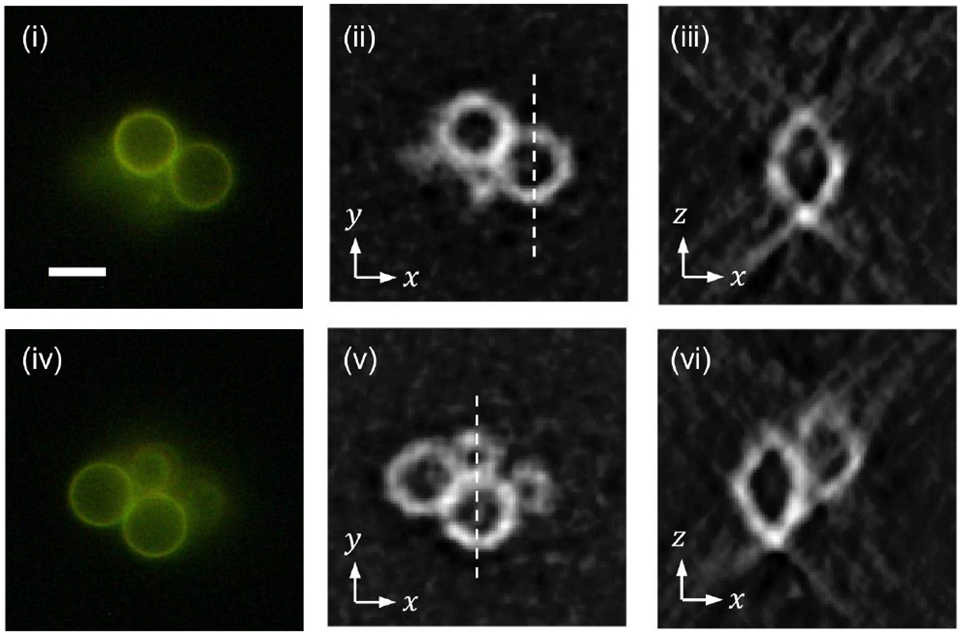 FIG. 8.