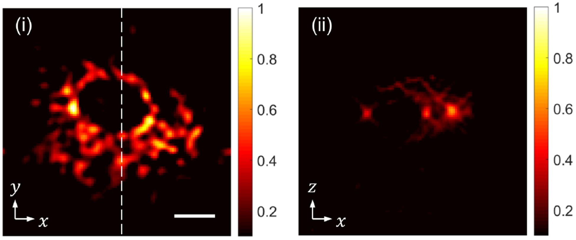 FIG. 9.