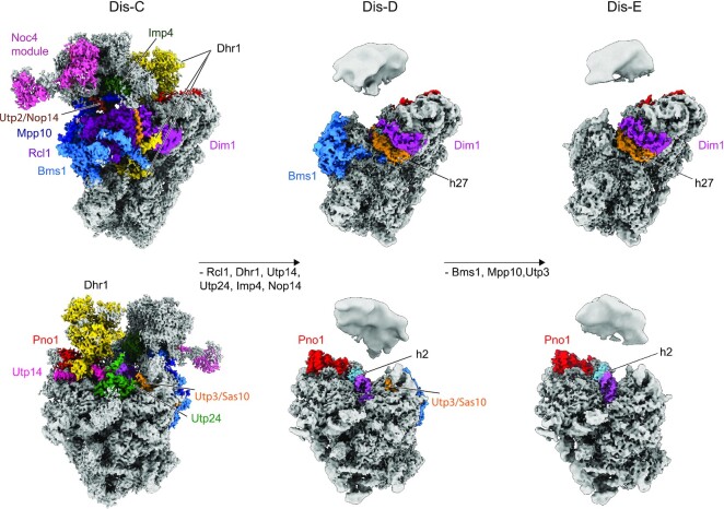 Figure 3.