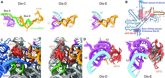 Figure 4.