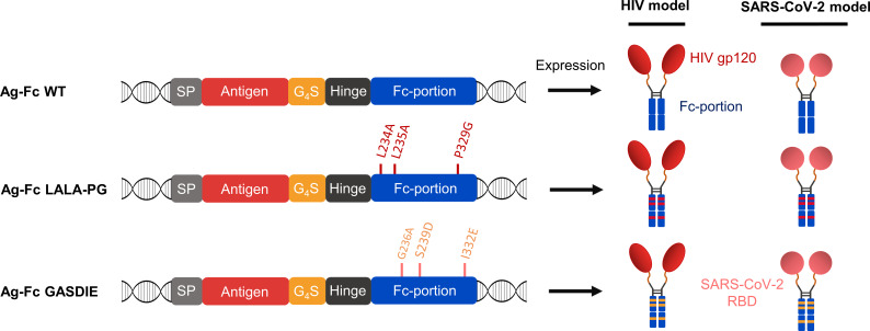 Figure 1