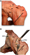Fig 2