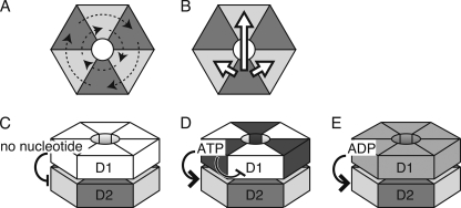 FIGURE 7.