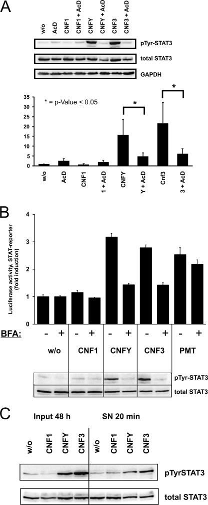 FIGURE 4.