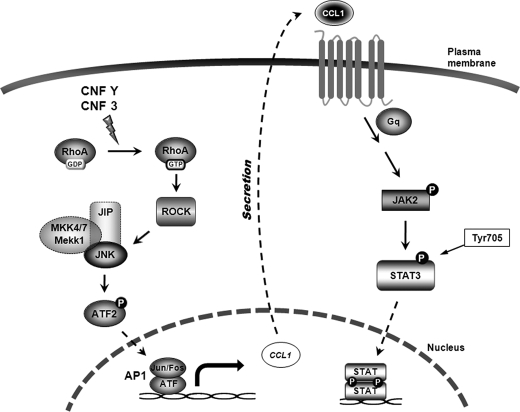 FIGURE 7.