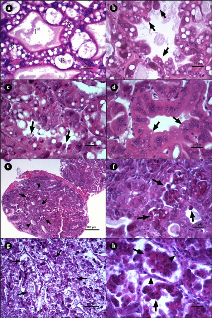 FIG 2