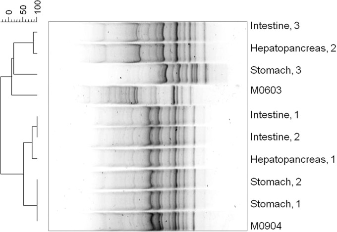 FIG 6