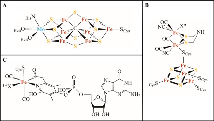 FIGURE 2.