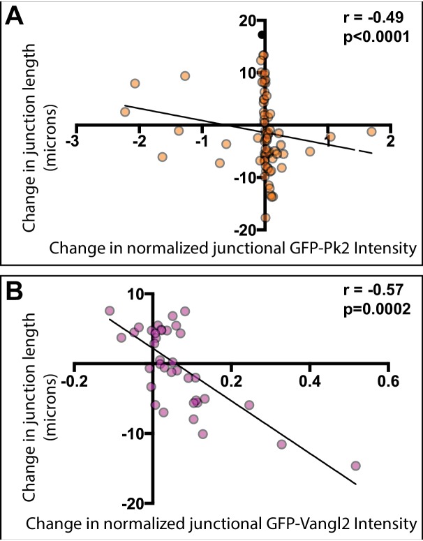 Figure 6—figure supplement 1.