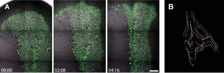 Figure 2—figure supplement 1.