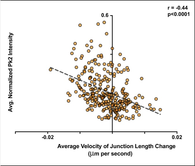 Figure 6—figure supplement 2.