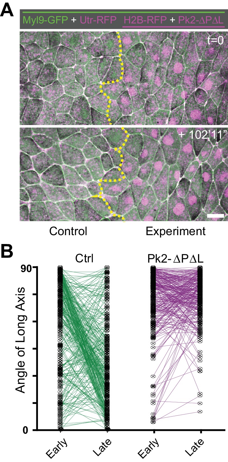 Figure 4—figure supplement 1.