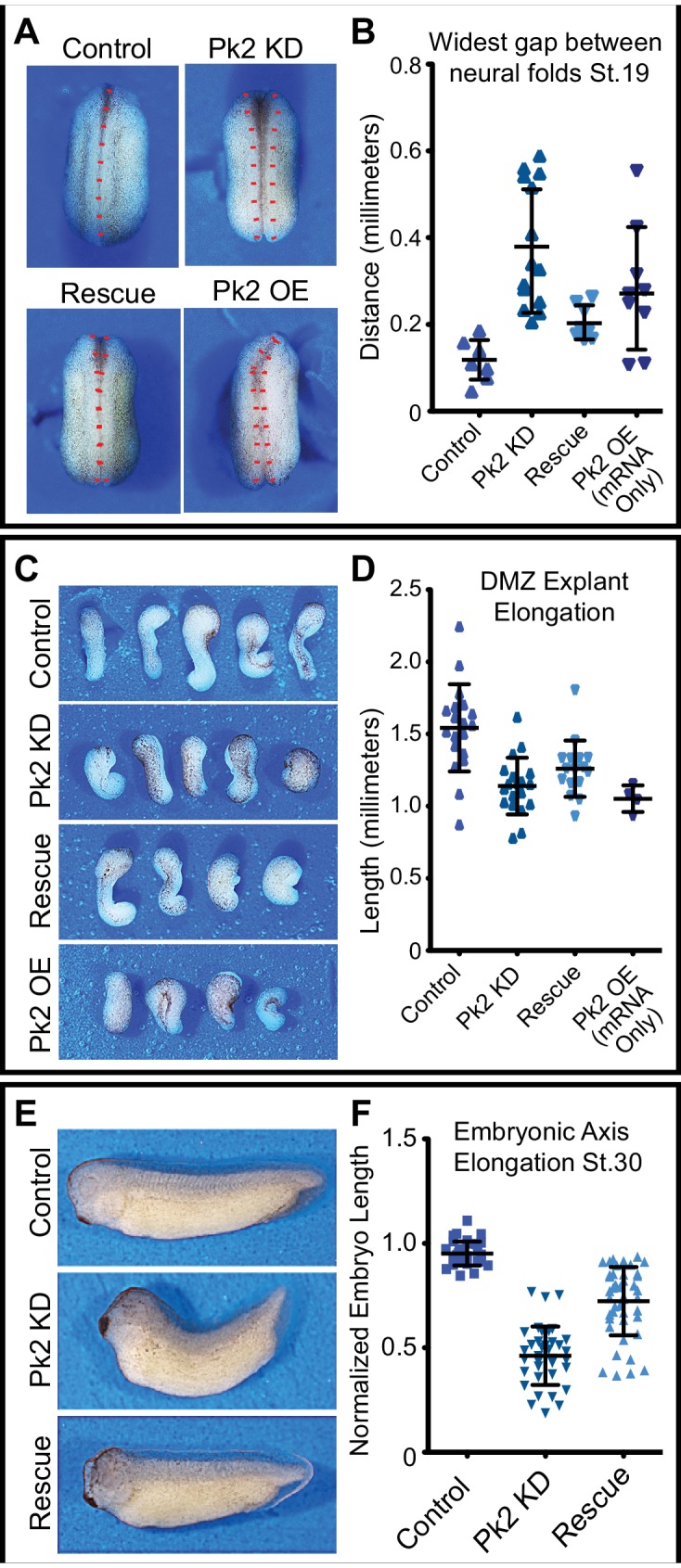 Figure 1—figure supplement 2.