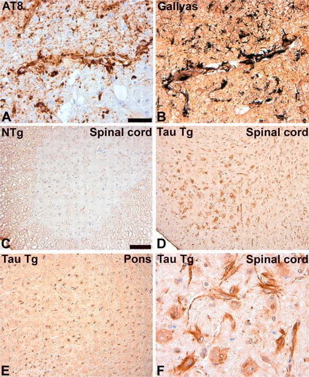 
Figure 9.
