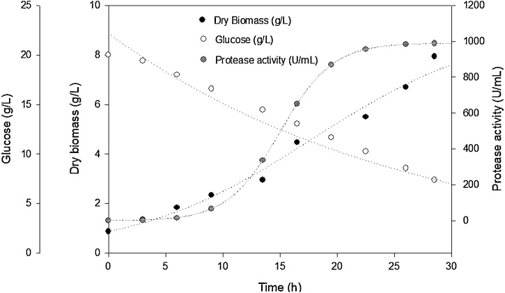 Fig. 4