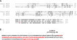 Figure 1—figure supplement 2.