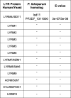 Figure 2—figure supplement 1.