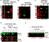 Figure 2—figure supplement 4.