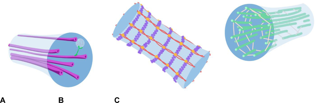 Figure 3: