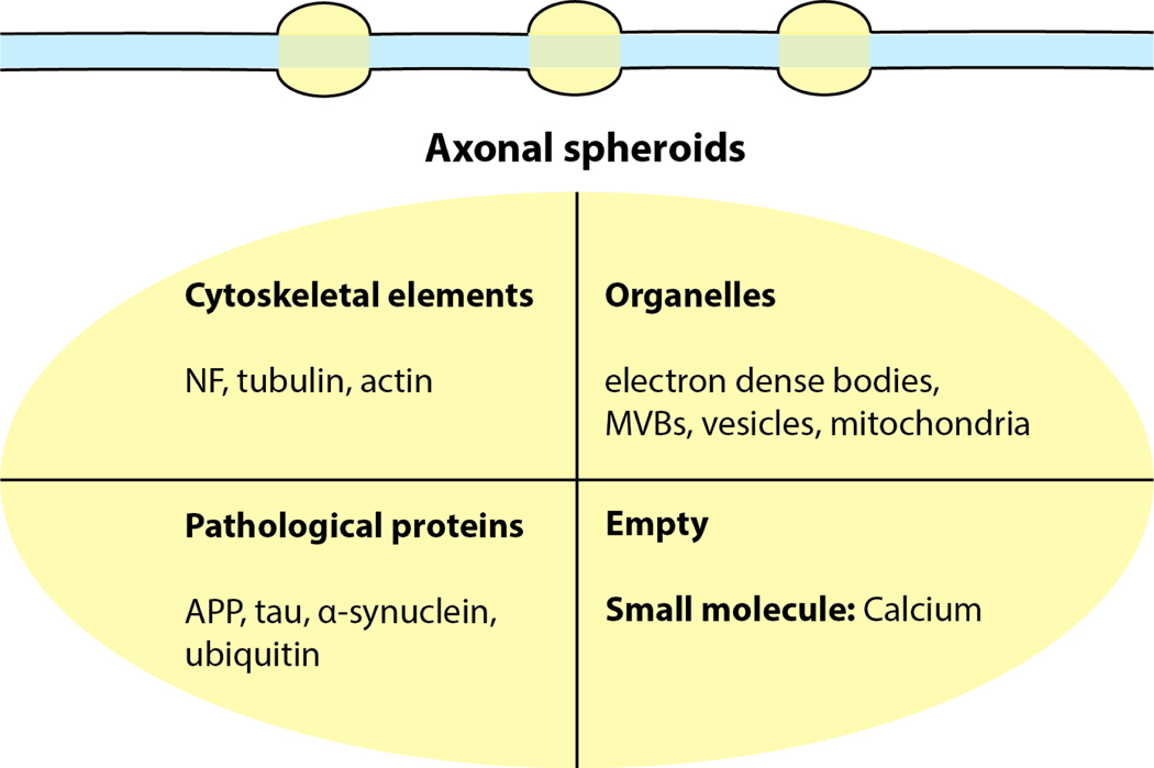 Figure 2: